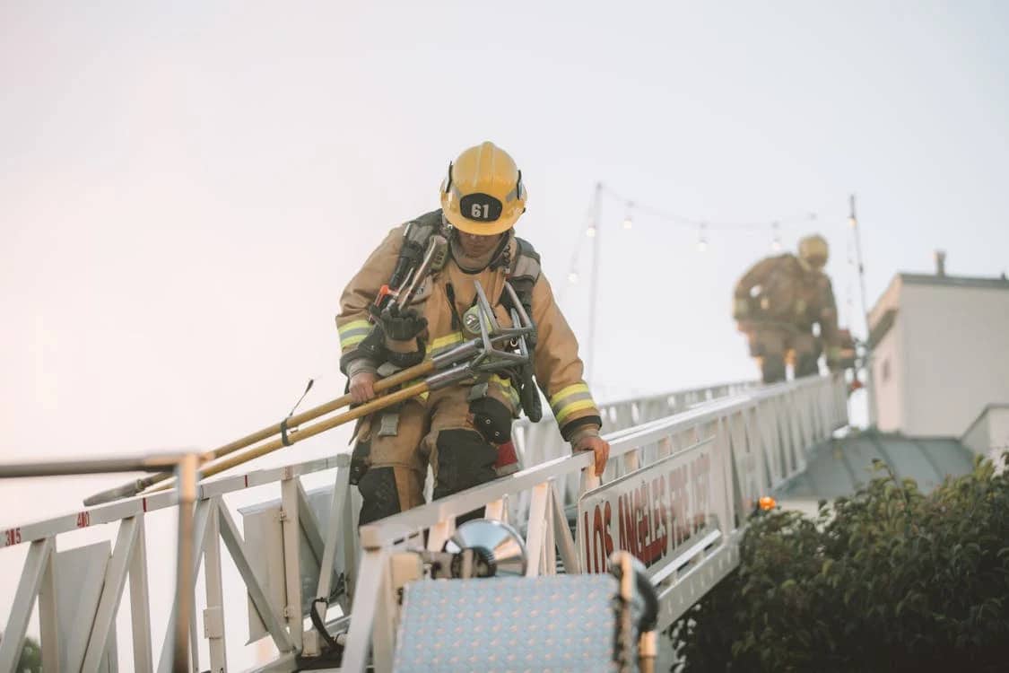 Roof cleaning cost